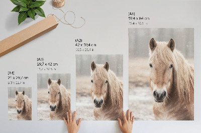 Impression sur toile Cheval hiver couleurs douces nature paisible