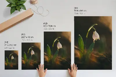 Décoration murale avec perce-neige, feuilles vertes et éclairage chaud