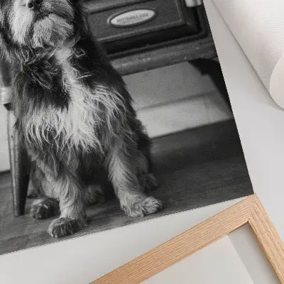 Impression sur toile représentant un chien noir et blanc calme près d'un vieux poêle