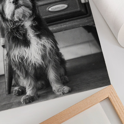 Impression sur toile Un chien noir et blanc calme se tient près d'un vieux poêle