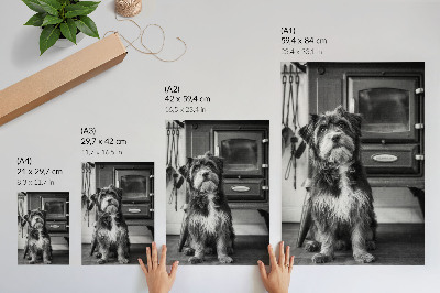 Impression sur toile Un chien noir et blanc calme se tient près d'un vieux poêle