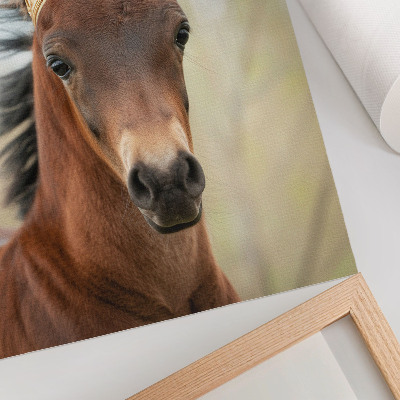 Impression sur toile Un cheval couronné sur fond neutre