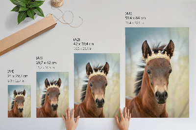 Impression sur toile Un cheval couronné sur fond neutre