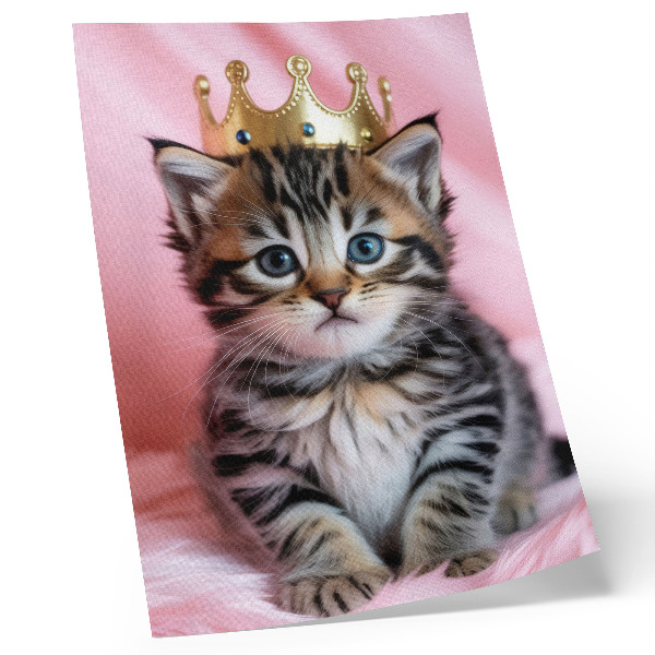Affiche décorative Couronne de chaton rose aux yeux bleus