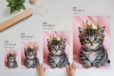 Affiche décorative Couronne de chaton rose aux yeux bleus