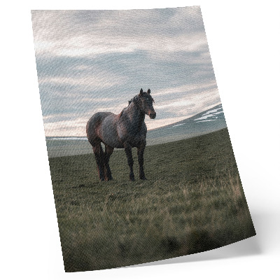 Affiche décorative Cheval dans le pré, nuages, matin, harmonie de la nature