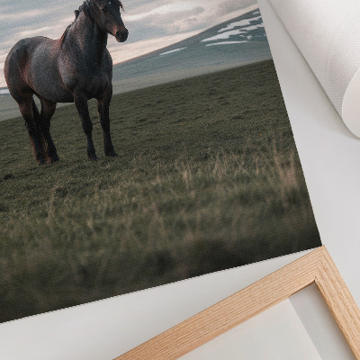 Affiche décorative Cheval dans le pré, nuages, matin, harmonie de la nature