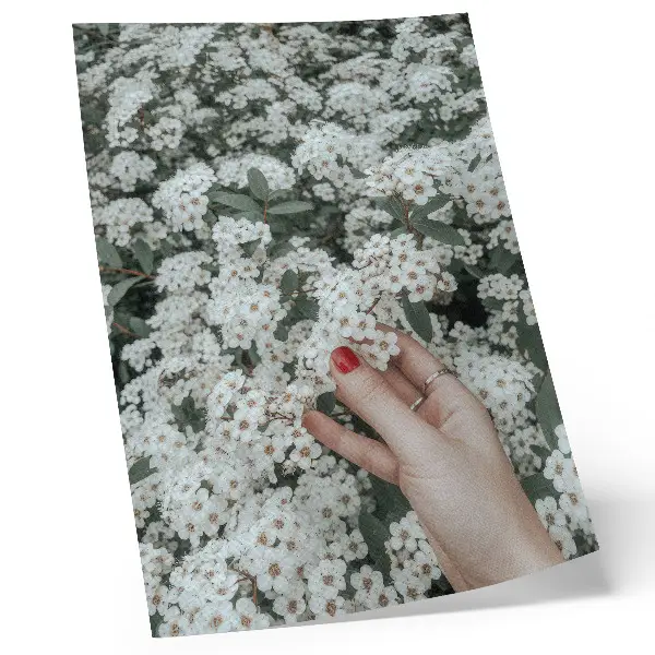 Affiche décorative fleurs blanches et main aux ongles rouges