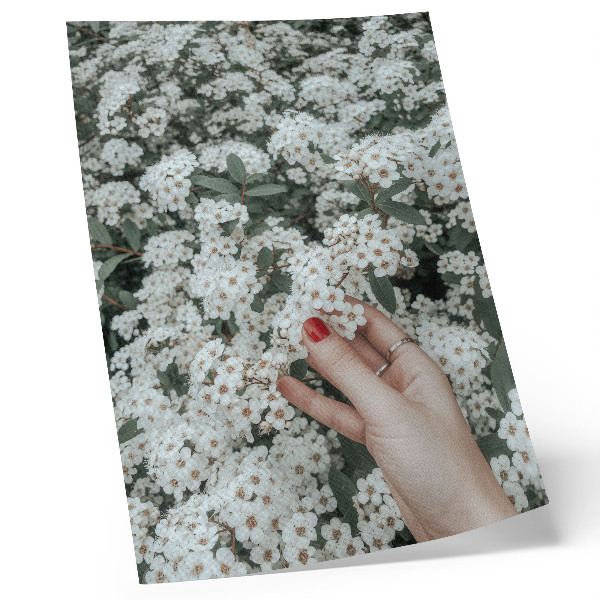 Affiche décorative Fleurs blanches, main verte, ongles rouges