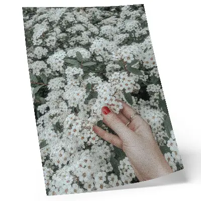 Affiche décorative fleurs blanches et main aux ongles rouges