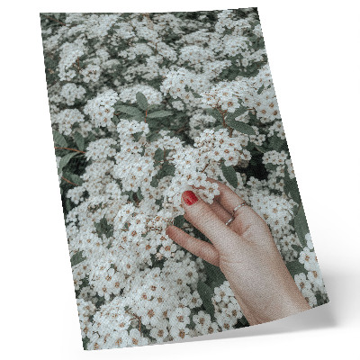 Affiche décorative Fleurs blanches, main verte, ongles rouges