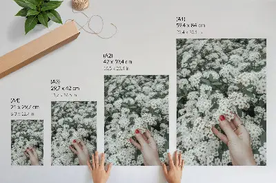 Affiche décorative fleurs blanches et main aux ongles rouges