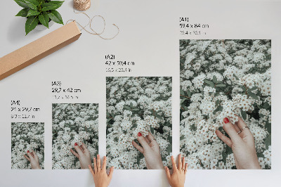 Affiche décorative Fleurs blanches, main verte, ongles rouges