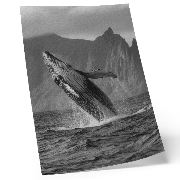 Affiche décorative Photo d'une baleine qui saute, avec des montagnes en arrière-plan.