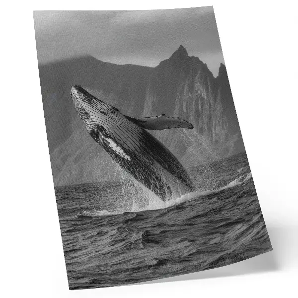Affiche décorative photo d'une baleine sautant devant un paysage montagneux