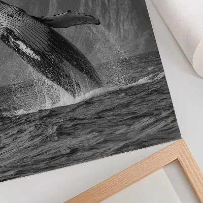 Affiche décorative Photo d'une baleine qui saute, avec des montagnes en arrière-plan.