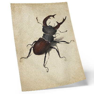 Décoration murale Le Lucane cerf-volant d'Albrecht Dürer (1505)