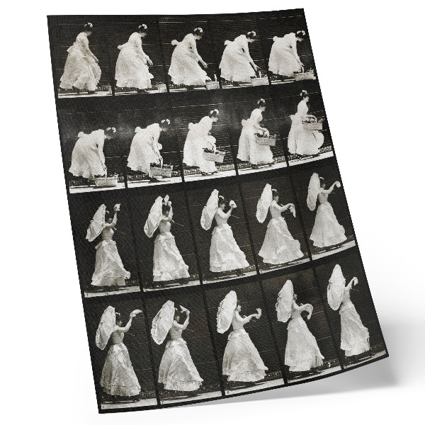 Affiche décorative Femme soulevant un panier et agitant un mouchoir (1887) – photographie d'Eadweard Muybridge