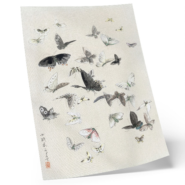 Affiche décorative Papillons et mites d'Hokusai