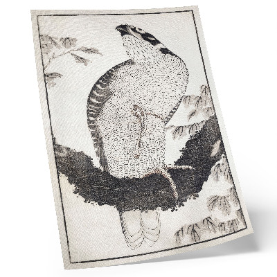 Affiche décorative L'Oiseau de Katsushika Hokusai, extrait de l'Album de croquis (1814), estampe japonaise ancienne.