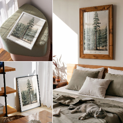 Affiche décorative Wellingtonia, un arbre gigantesque dominant la forêt environnante, avec un homme à son pied