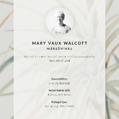 Impression sur toile Ananas sauvage (Tillandsia fasciculata) (1921) par Mary Vaux Walcott