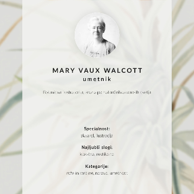 Impression sur toile Ananas sauvage (Tillandsia fasciculata) (1921) par Mary Vaux Walcott
