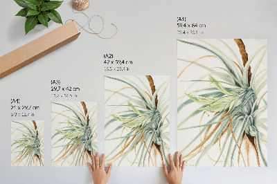Impression sur toile Ananas sauvage (Tillandsia fasciculata) (1921) par Mary Vaux Walcott