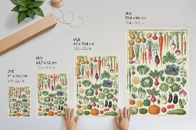 Impression sur toile Légumes de toutes sortes et de toutes couleurs