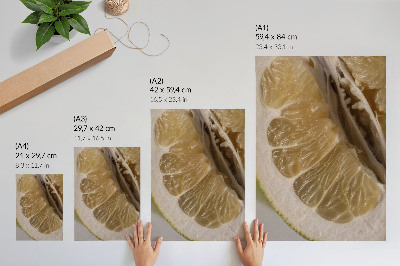 Impression sur toile Une tranche d'agrume avec des segments juteux