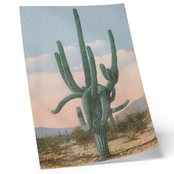 Impression sur toile Grand cactus (vers 1928) d'un artiste anonyme