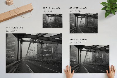 Affiche et poster Pont de la ville, bâtiments majestueux, élégance austère