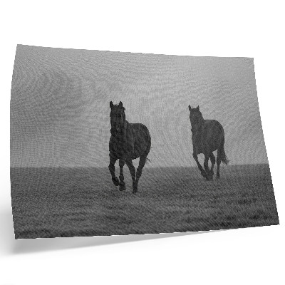 Affiche Chevaux au galop, brume légère, espace paisible