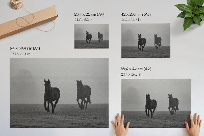 Affiche Chevaux au galop, brume légère, espace paisible