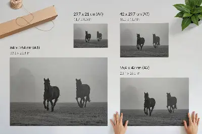 Affiche chevaux au galop dans une brume légère sur un espace paisible