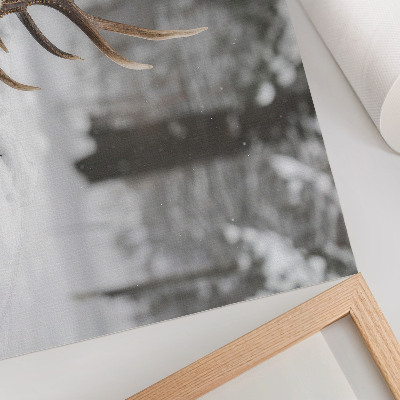 Affiche et poster Bois de cerf dans la neige, forêt d'hiver, paix naturelle