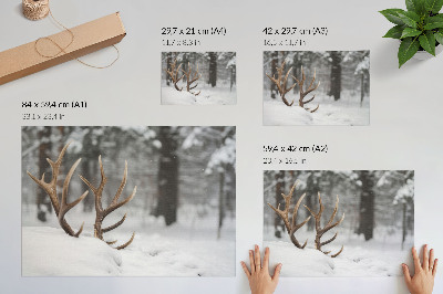 Affiche et poster Bois de cerf dans la neige, forêt d'hiver, paix naturelle