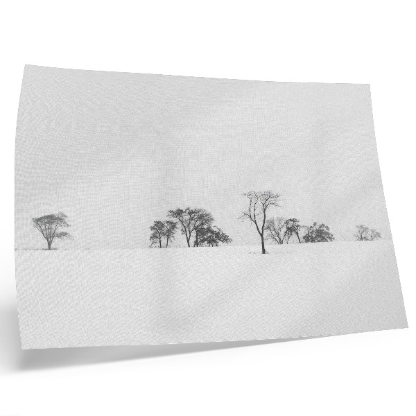 Affiche décorative Paysage minimaliste, arbres d'hiver, paix