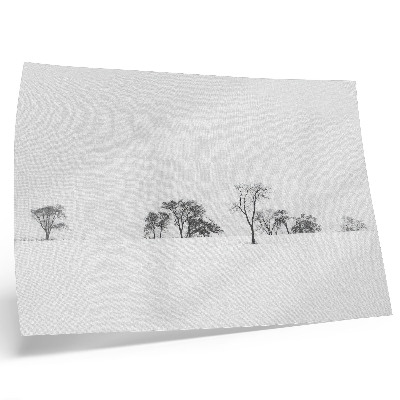 Affiche décorative Paysage minimaliste, arbres d'hiver, paix