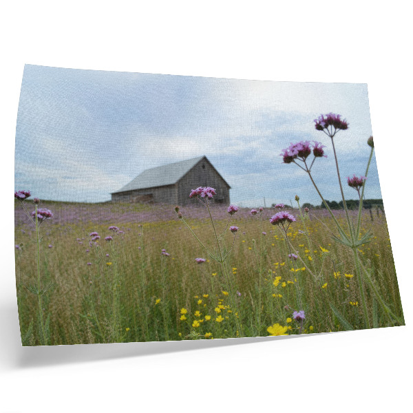 Affiche décorative prairie fleurie violette et jaune dans une grange de campagne