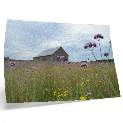 Affiche décorative prairie fleurie violette et jaune dans une grange de campagne