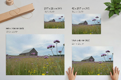 Affiche décorative prairie fleurie violette et jaune dans une grange de campagne