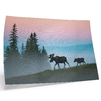Affiche décorative Un orignal au petit matin, sur fond de brouillard et d'arbres.