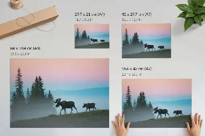 Affiche décorative représentant un orignal au petit matin sur fond de brouillard et d'arbres