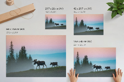 Affiche décorative Un orignal au petit matin, sur fond de brouillard et d'arbres.