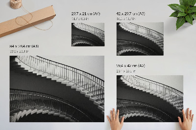 Affiche et poster Élégance en noir et blanc, formes modernes