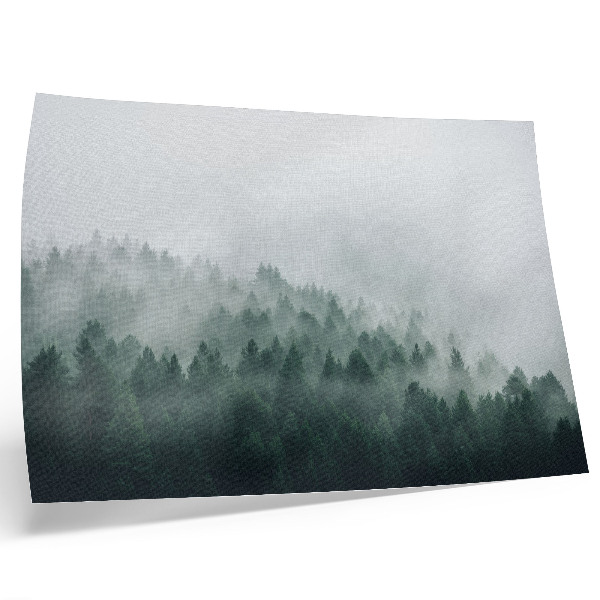 Affiche décorative Forêts brumeuses exhalant paix et mystère
