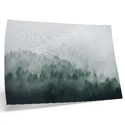 Affiche décorative Forêts brumeuses exhalant paix et mystère