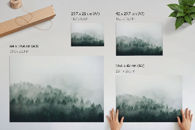 Affiche décorative Forêts brumeuses exhalant paix et mystère