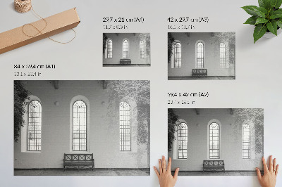 Affiche Intérieur minimaliste avec fenêtres et plantes